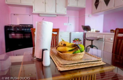 Laborie Apartment | Belle View Apartment Villa - Hibiscus