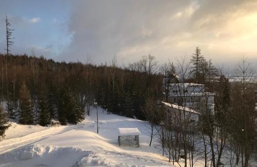 Vysoke Tatry Apartment | Bellevue apartments Vila Vlasta Starý Smokovec