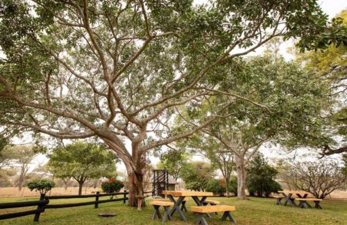 Louis Trichardt House | BelofteBos Farmhouse Inn