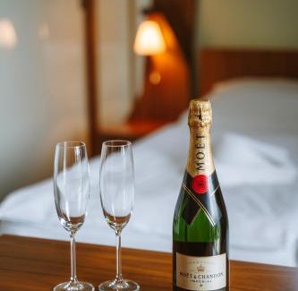 Ostravice Hotel | Beltine Forest Hotel