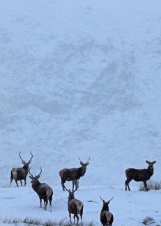 Banavie House | Ben Nevis Manor Lodge & Indoor Private Hot-Tub