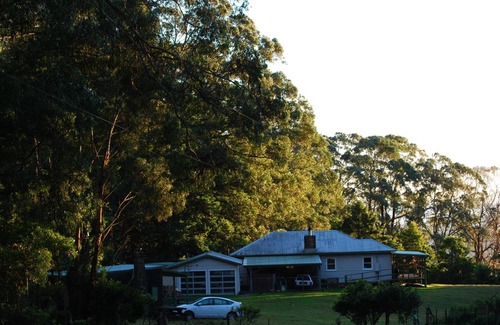 Budderoo Cabin | Ben Ricketts Environmental Preserve - quiet mountain hideaways