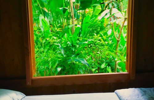 Ben Tre House | Ben Tre Farm Stay