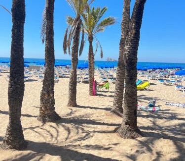 Benidorm Apartment | BENILOVE en PLAYA
