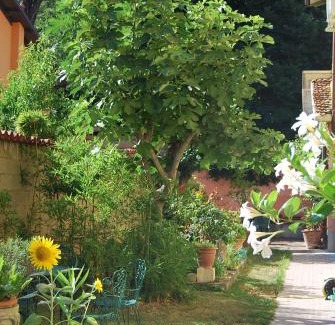 Bergamo Bed & Breakfast | Bergamo Bassa