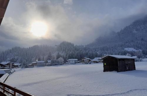 Wald im Pinzgau Apartment | Bergblick Apartment