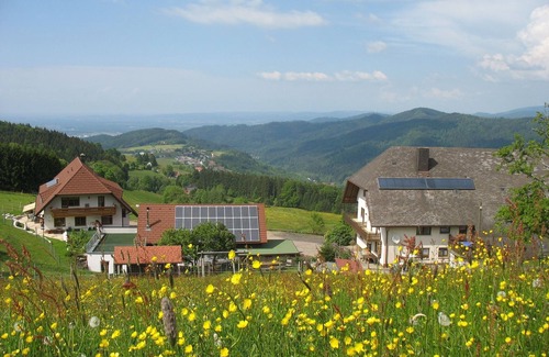 Horben Apartment | Bergblick, Typ C, 75 qm, DG, Max. 4 Pers