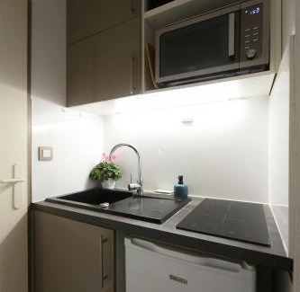 Lyon City Centre Apartment | Berge du Rhône, Centre Lyon, espace de travail, tout à pied, Université Lyon 2 et Lyon 3, idéal voyage d'affaires, tourisme, loisirs