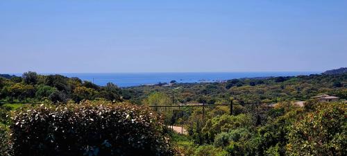 Pianotolli-Caldarello House | Bergerie A Sapara