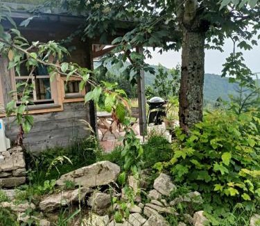 Schwarzach House | Berghütte am Grandsberg