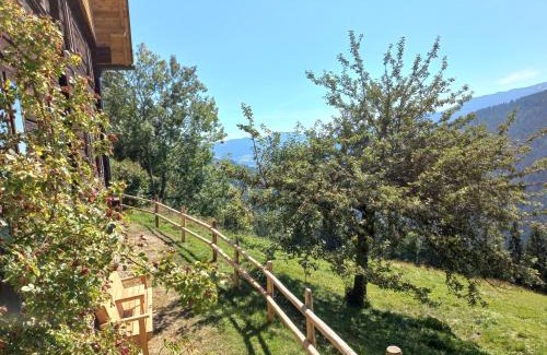 Auen House | Berghütte Reissnerhof