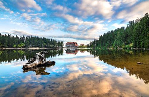 Seebach Hotel | Berghotel Mummelsee