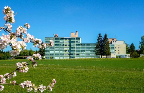 Loffingen Apartment | Bergliebe (G 103) by Interhome