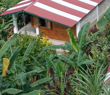 Fond Cani House | Berkey's Jungle Paradise