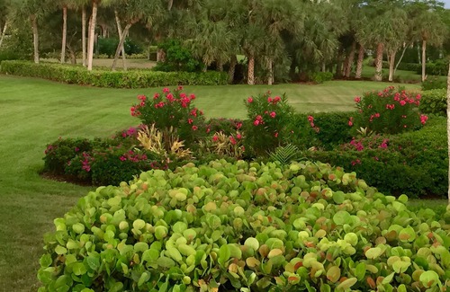 Park Shore Condo | Best Vacation Spot in Naples, Florida
