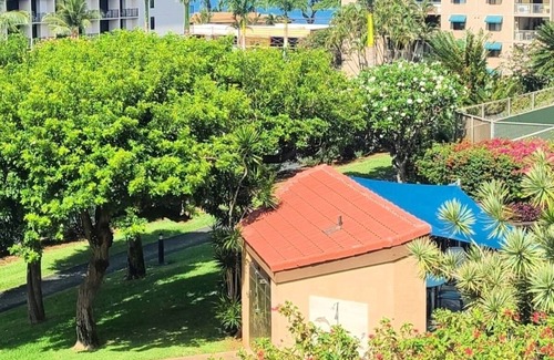 Kihei Condo | Best Value Oceanview Maui Vista Condo! Taxes included! Special rates available!