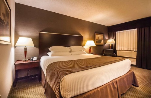 Calgary Hotel | Best Western Airport Inn