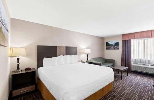Quad Cities Hotel | Best Western Airport Inn