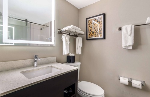 Cumberland Hotel | Best Western Atlanta-Marietta Ballpark Hotel