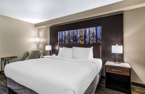 Cumberland Hotel | Best Western Atlanta-Marietta Ballpark Hotel