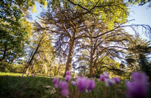 Toulouse South-East Hotel | Best Western Premier Le Domaine de Montjoie