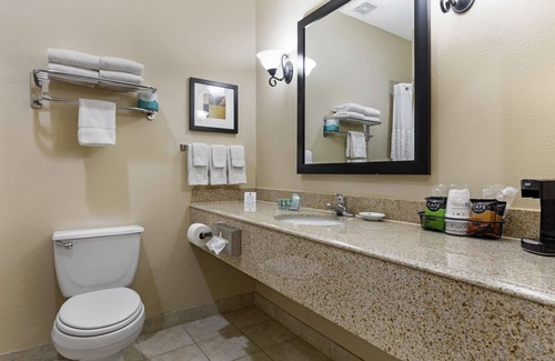 Franklin Hotel | Best Western Franklin Town Center Hotel & Suites