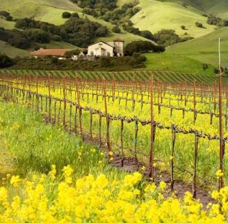 Santa Rosa Hotel | Best Western Garden Inn