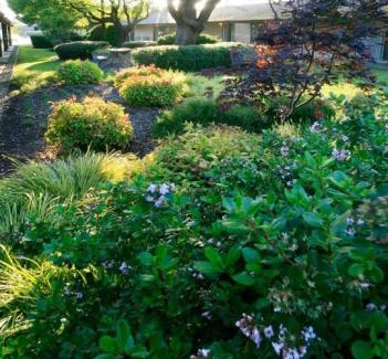 Santa Rosa Hotel | Best Western Garden Inn