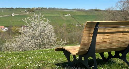 Frickenhausen a. Main Hotel | Best Western Hotel Polisina
