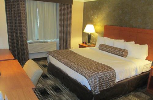 Rochester Hotel | Best Western Inn at the Rochester Airport