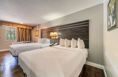 Jasper Hotel | Best Western Inn Of Jasper