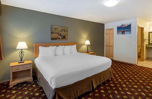 Soldotna Hotel | Best Western King Salmon Inn