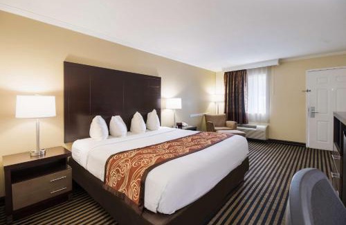McKenzie Hotel | Best Western - McKenzie
