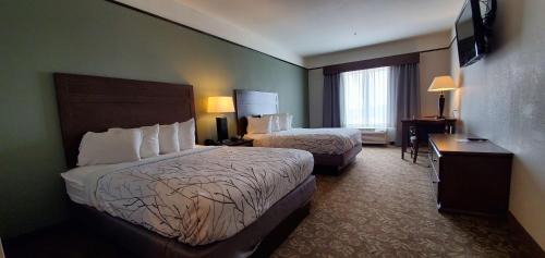Emory Hotel | Best Western Plus Emory at Lake Fork Inn & Suites