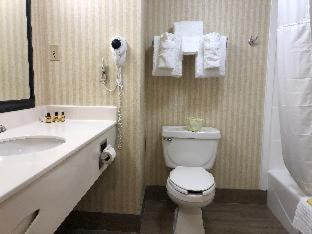 Lexington Hotel | Best Western Plus Lexington Inn