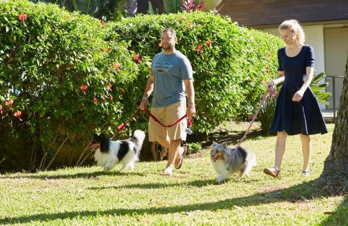 Western Honolulu Hotel | Best Western The Plaza Hotel Honolulu Airport - Free Breakfast