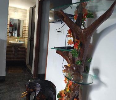 Kottathara Apartment | Bhasuri NON-AC Villa with Kitchen