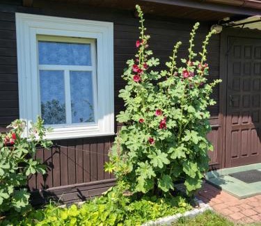 Bialowieza House | Białowieża 131