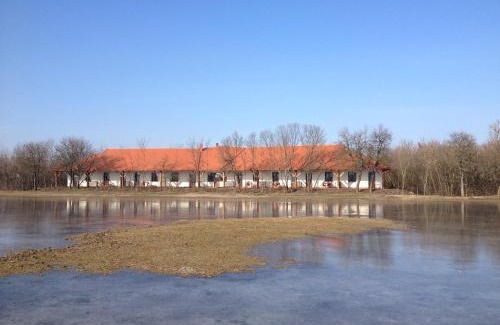 Balmazujvaros Bed & Breakfast | Bibic Nature Lodge