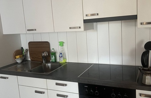 Biel Apartment | Bienne old town room with kitchen
