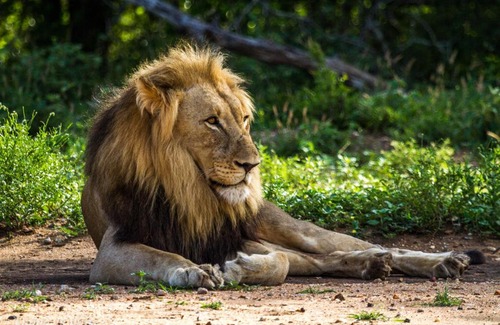 Maruleng Cabin | Big 5 Self-catering Lodge