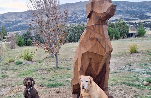 Luggate Cabin | BIG DOGS Homestay