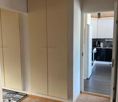 Punkaharju Apartment | Big Zander