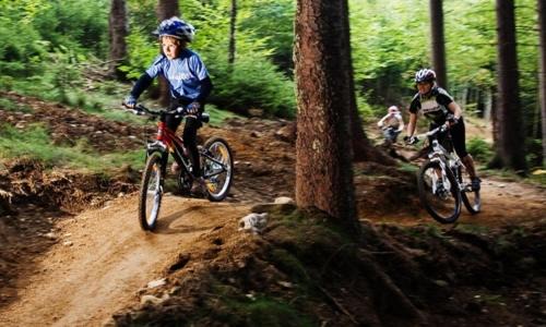 Nove Mesto pod Smrkem House | BIKE HAVEN - jacuzzi - mountain biking and hiking