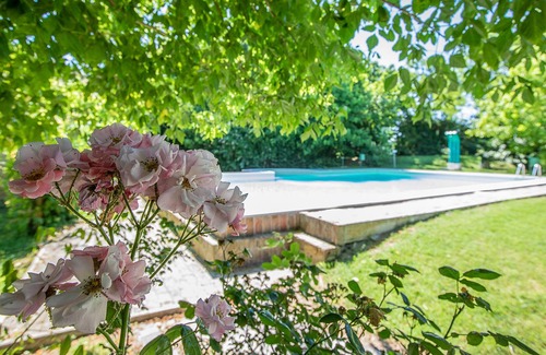 Porto Levante Apartment | bilocale 5 con vista giardino