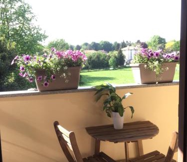 Cascinetta Apartment | Bilocale in the Farm- Malpensa-Lago Maggiore