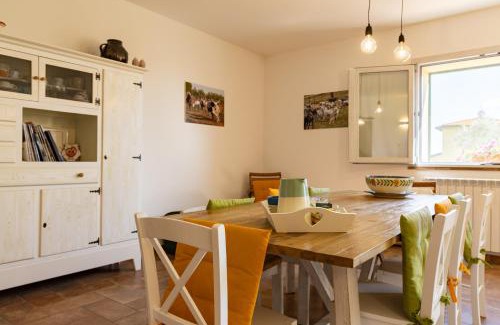 Montorsaio Apartment | Bioagriturismo Terra d'Angeli