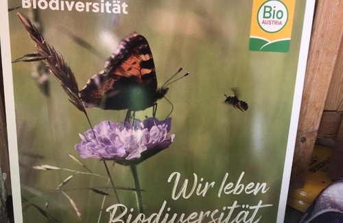 Sankt Margarethen im Lungau Apartment | Biohof Sauschneider