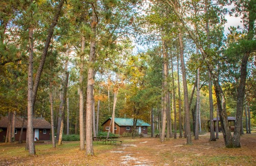 Jim Falls House | Birch Cabin - Beaver Creek Reserve