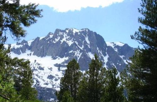 June Lake House | Birch Creek #1 - 1BR/1BA - Down Canyon